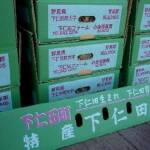 下仁田ねぎ（青箱）