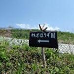 ねぎ坊主園
