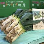 下仁田ねぎ 青箱