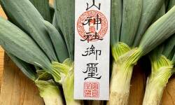 下仁田ネギの神様