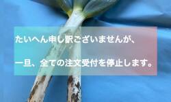 注文受け付け停止