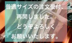 普通サイズ注文受付再開