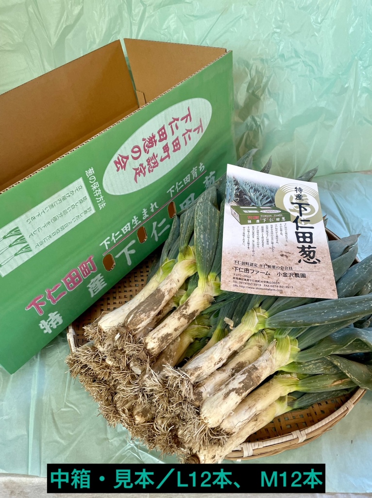 中箱商品サンプル