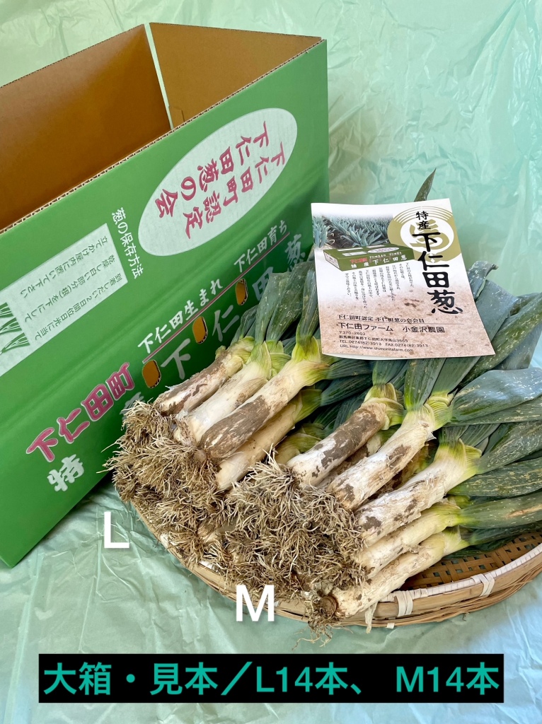 大箱商品サンプル